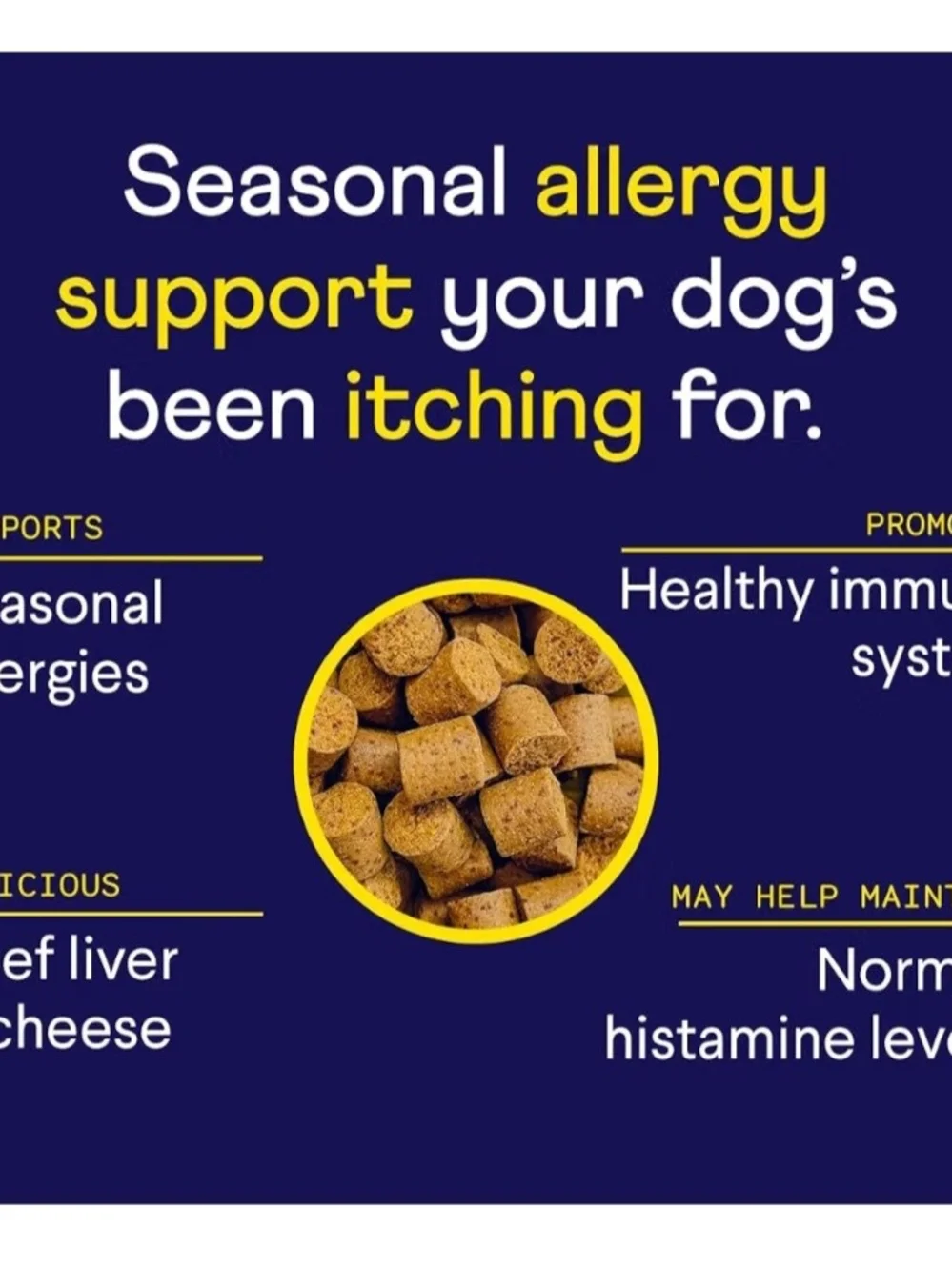 Finn Allergy & Itch Soft Chews for Dogs